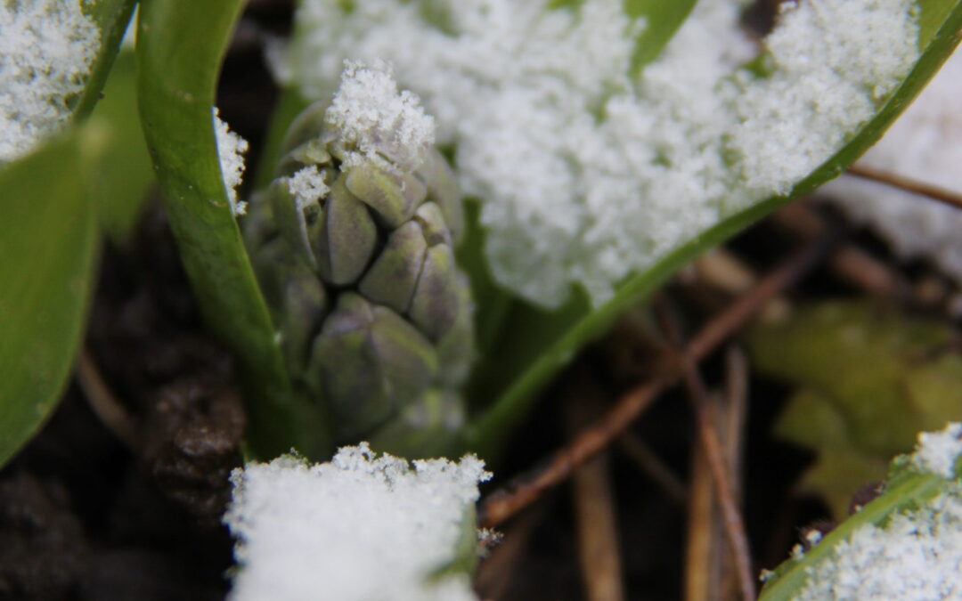 March Growth: What Actually Supports It