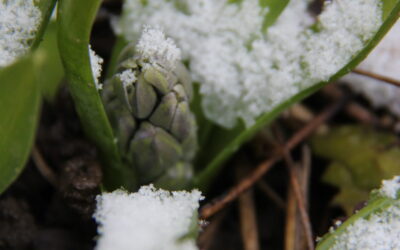 March Growth: What Actually Supports It