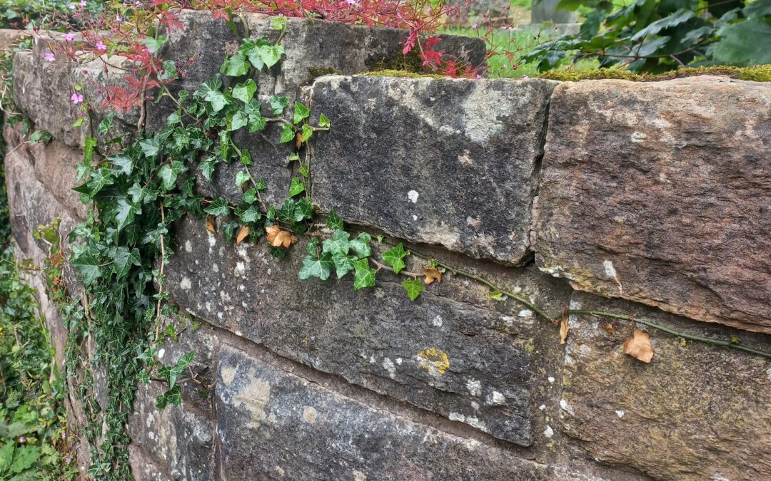 When Growth Starts Exposing the Gaps in Your Business